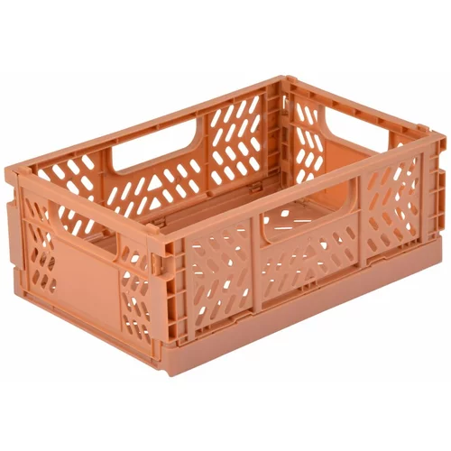Homéa Rožnato-oranžna plastična škatla za shranjevanje 21x14.5x8 cm –