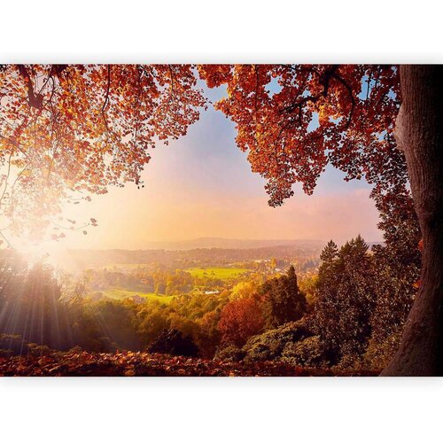 Artgeist Fototapeta Autumn Delight, 400x280cm Cene