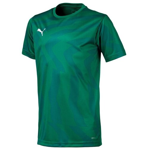 Puma Majice s kratkimi rokavi Cup Zelena Slike