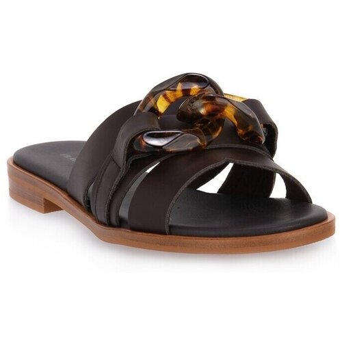 Frau Japonke London Turtle Moro Kostanjeva Cene