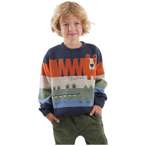 Denokids animals Boy's Sweater Slike