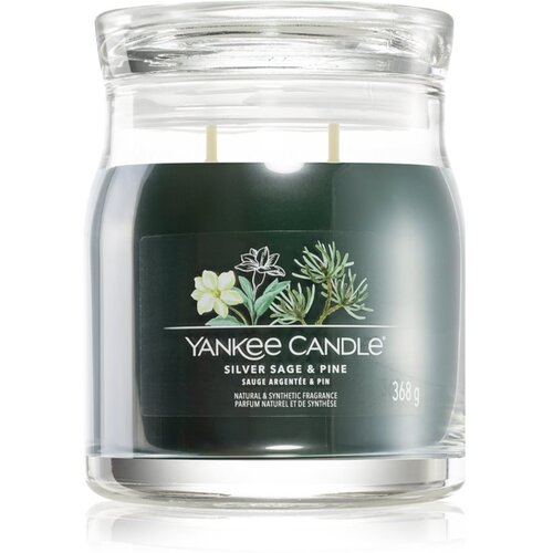 Yankee Candle Silver Sage &amp;amp; Pine di&amp;scaron;eča sveča Signature 368 g Slike