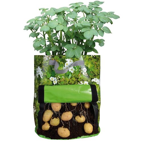 Esschert Design zelena vreća za uzgoj kumpira Slike