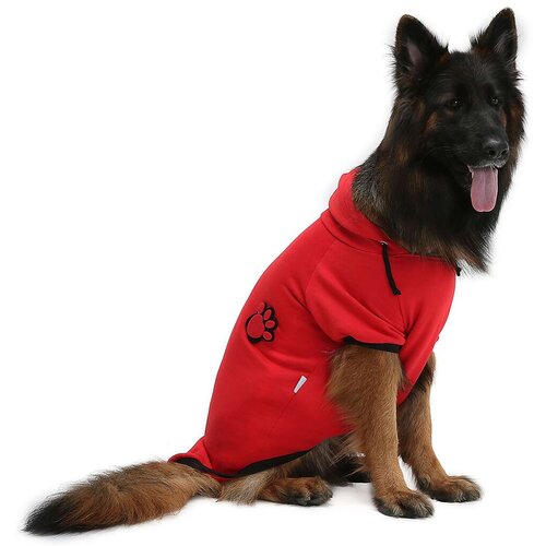Paws & Whiskers Odelo za pse Kirmizipatisweat, Crveno Cene