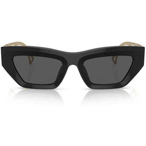 Versace naočare za sunce ve 4432U GB1/87 Slike