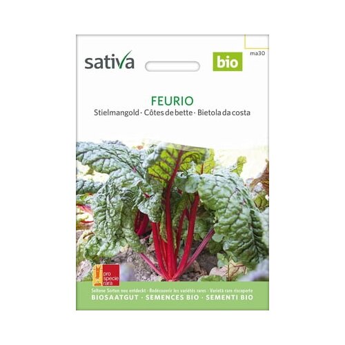  Blitva "Feurio" Cene