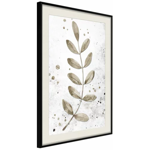  Poster - Dried Twig 30x45