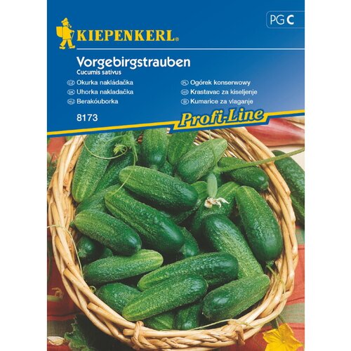 KIEPENKERL Sjeme povrća krastavac Vorgebirgstrauben (Cucumis sativus, Berba: Srpanj) Cijene