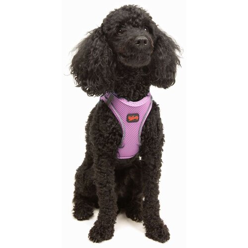 Paws & Whiskers Am za pse Air-Mesh, Lavanda Cene