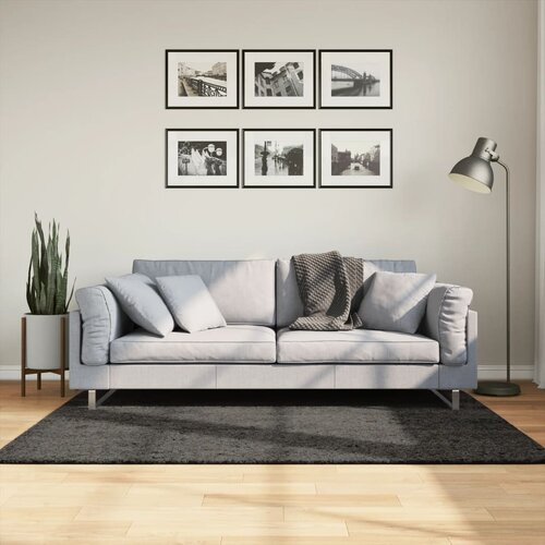 vidaXL Preproga ISTAN visoka vlakna sijoč videz antracitna 120x170 cm Cene