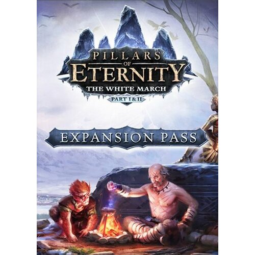  Pillars of Eternity: The White March - Expansion Pass (DLC) Steam Key GLOBAL Cene