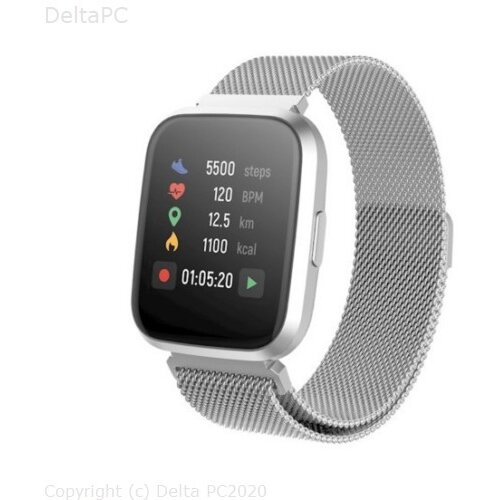 Forever smartwatch ForeVigo 2 SW-310 silver Cijene