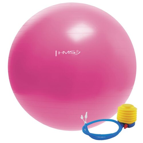 Hms Velika lopta za aerobik & gimnastiku 55cm, 65 cm & 75 cm Cijene