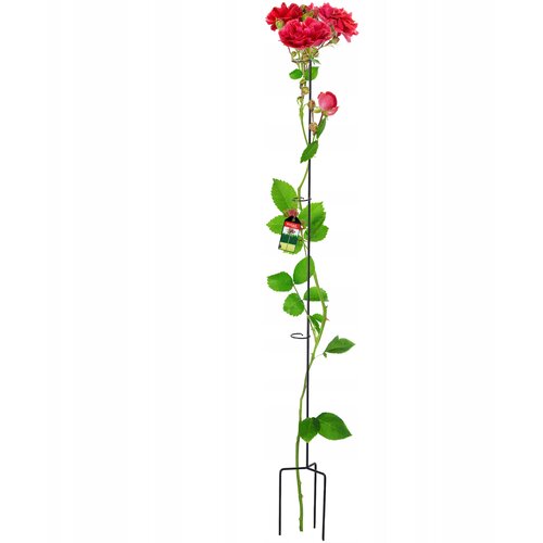 KADAX Podpora za cvetlične rastline, kovinsko stojalo za rože, vrtnica, 140 cm, (5000362350) Cene