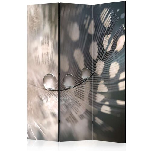  Paravan u 3 dijela - Elegant Feather [Room Dividers] 135x172 Cijene