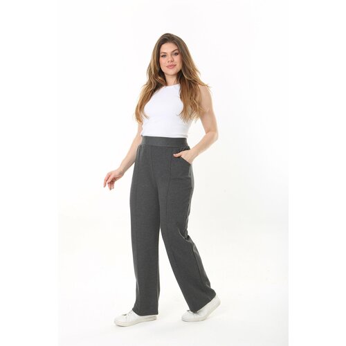 Şans Women's Plus Size Smoked Ironing Mark Grass Stitched Lycra Side Pocket Trousers Slike