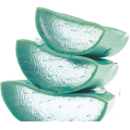Garnier Skin Naturals Hyaluronic Aloe vlažilna in obnovitvena krema za obraz 50 ml za ženske Slike