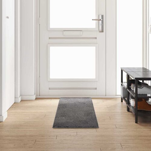  Tepih trkač Siva 50 x 250 cm 100% Polipropilen Tuft Cijene