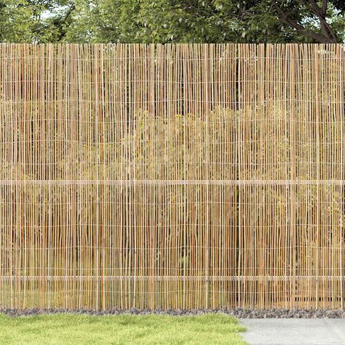  Bambusova ograda Prirodna 300 x 180 cm bambus Slike