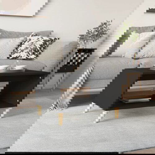 Furnova Klubska mizica črna 60x50x40 cm konstruiran les, (21914687) Slike