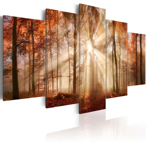  Slika - Forest Fog 100x50 Cijene