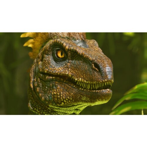 Studio Wildcard PS5 ARK: Survival Ascended Cene