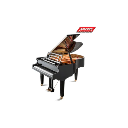  KLAVIR FEURICH GRAND PIANO 179