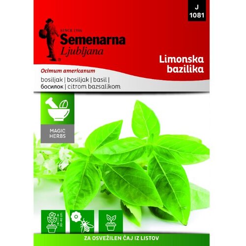  Seme limunski bosiljak Semenarna Slike