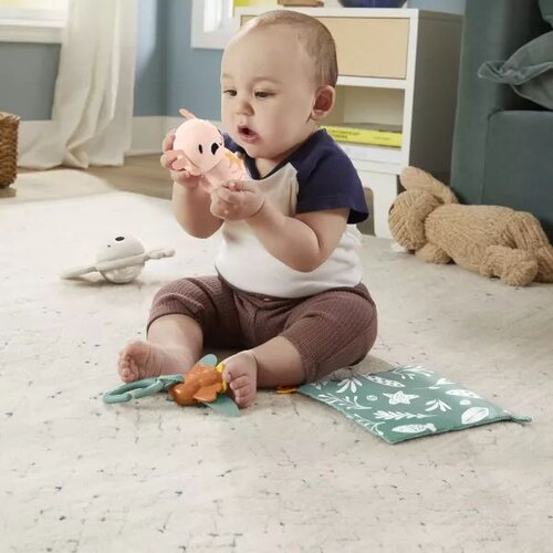 Fisher Price Fisher-Price&amp;reg; Komplet daril z mnogimi čutili (HRB17), (21382042) Slike