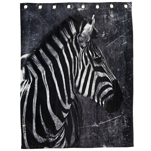 zavesa zebra 140x175 cm 5023040 Slike