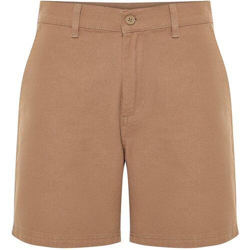 Trendyol Mink Men's Regular Fit Shorts Bermuda Slike