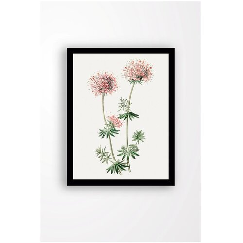 Tablo Center Stenska slika na platnu v črnem okvirju Natura, 29 x 24 cm Slike