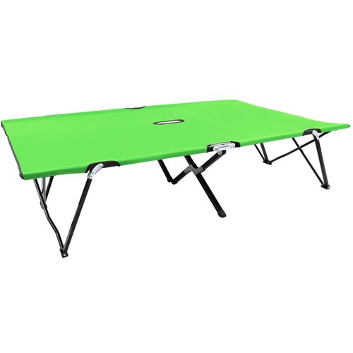 VidaXL Zložljiv ležalnik za dve osebi zelen iz jekla, (20963077) Slike