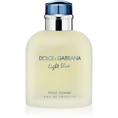 Dolce & Gabbana Light Blue Pour Homme toaletna voda za muškarce 125 ml Cijene