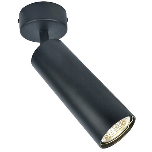 Greentech Spot svjetiljka (Ø x V: 55 x 150 mm, 30 W, Crna) Cijene