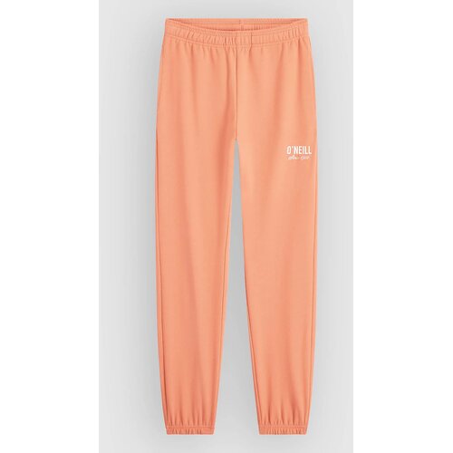 O'neill Essentials Sweat Kids Pants funky peach Cene