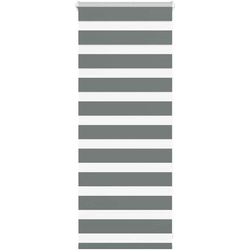 vidaXL Zebra senčilo temno sivo 55x100 cm tkanina širina 50,9 cm, (22046500) Cene