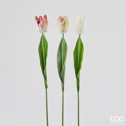  TULIPAN 53CM PINK CREAM EDG Cene