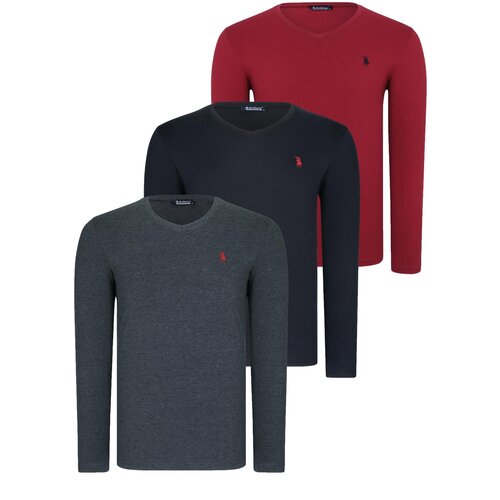 Dewberry TRIPLE SET T8587 V-NECK MEN&amp;#039;S SWEATSHIRT-BLACK-ANTHRACITE-BURGUNDY Slike