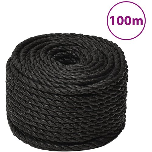 VidaXL Delovna vrv črna 10 mm 100 m polipropilen Slike