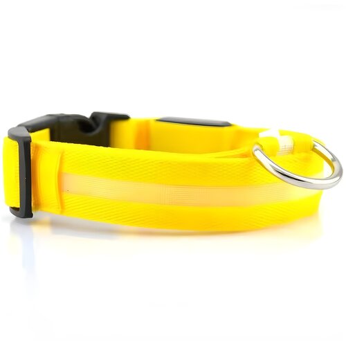IZMAEL Svjetleći ovratnik za psa s USB punjenjem - Žuta / XL Cijene