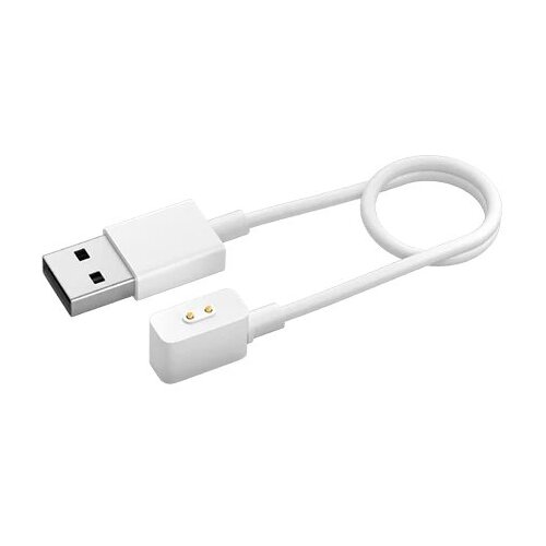 Xiaomi Magnetic Charging Cable (Redmi Smart Band 2) Cijene
