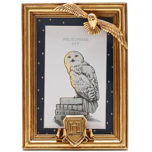 Widdop &amp;amp; Co. Harry Potter - Foto ram - Harry Potter, Hedwig, Warner Bros, 10x15cm Slike