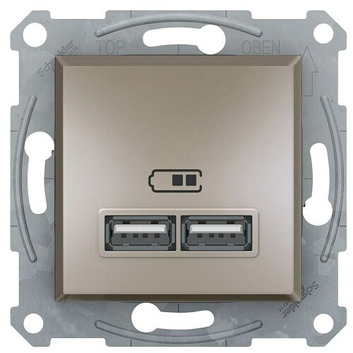 Schneider Electric Asfora Zidna utičnica s USB utorom (Bronca, 2-struko, Podžbukna montaža, Plastika) Slike