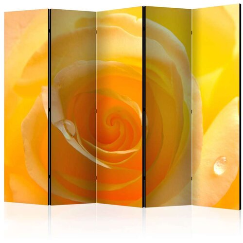  Paravan u 5 dijelova - Yellow rose II [Room Dividers] 225x172 Slike