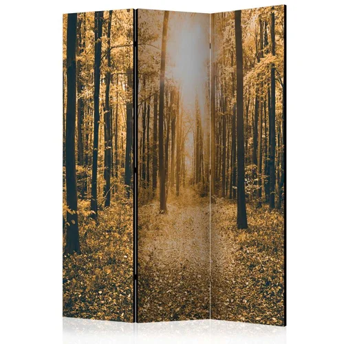  Paravan u 3 dijela - Magical Light [Room Dividers] 135x172