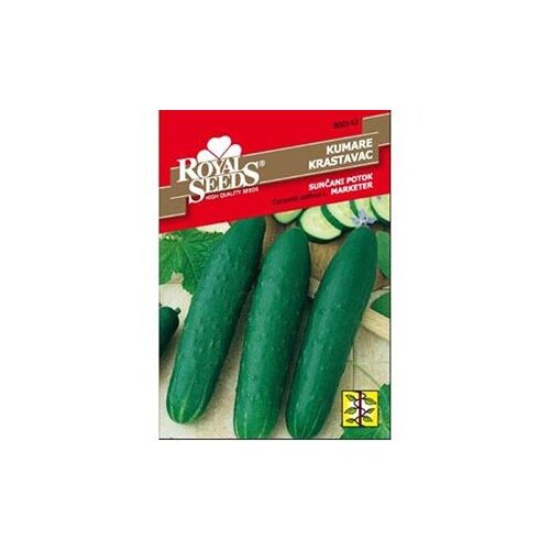  Krastavac Sunčani Potok Royal Seeds Cijene