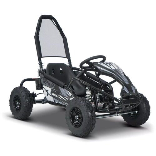 Beneo Bencinski gokart za otroke BUGGY RSX črna 98cm3 Cene