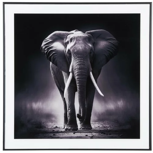 PT LIVING Slika 50x50 cm Elephant –