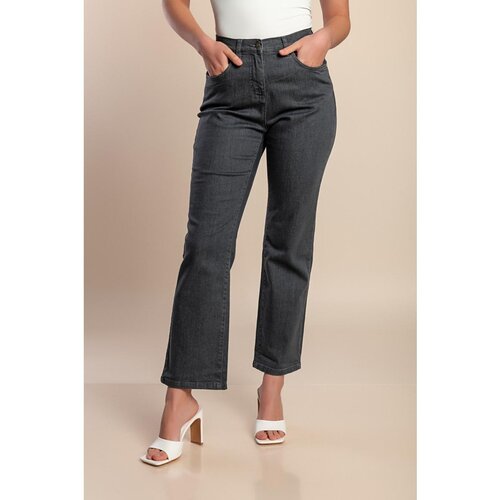 Fenzy Plus Size Kavbojke, Sive Cene